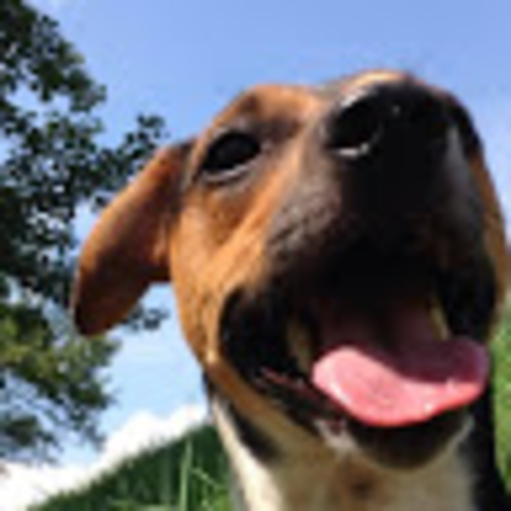 Meet your Posher, Kristin